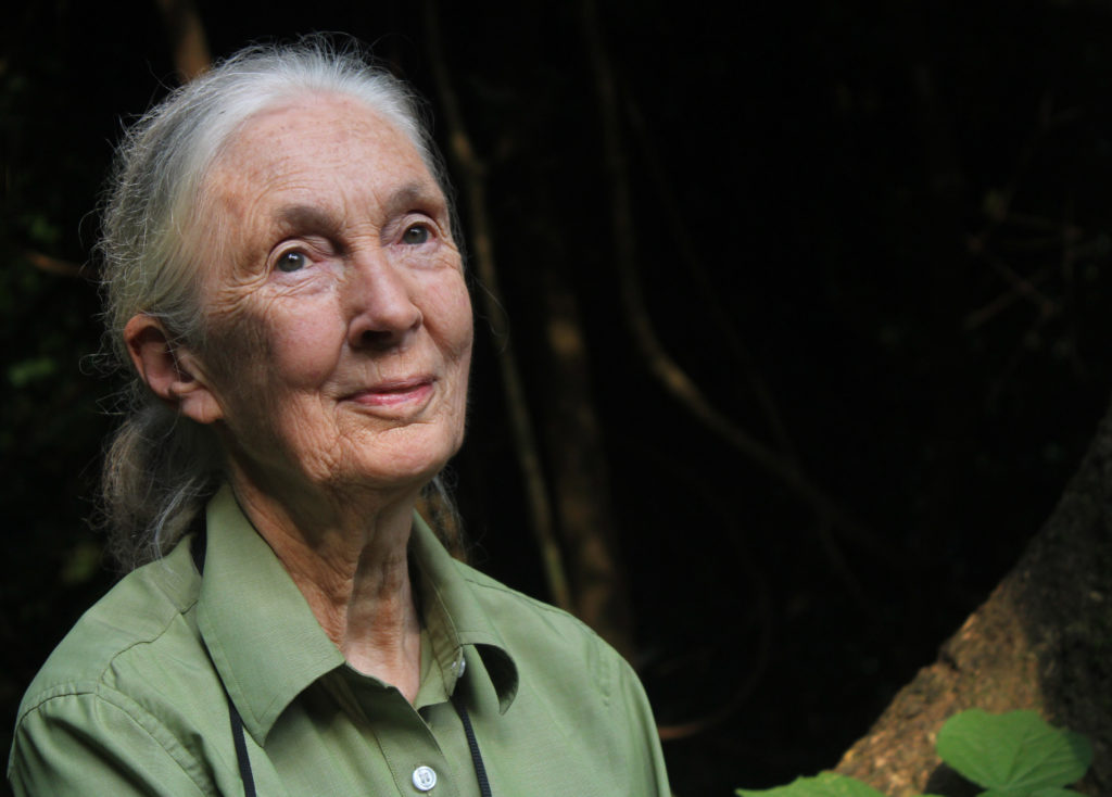 Interview With Dr. Jane Goodall ‘We’ve Got to Get Together and Take